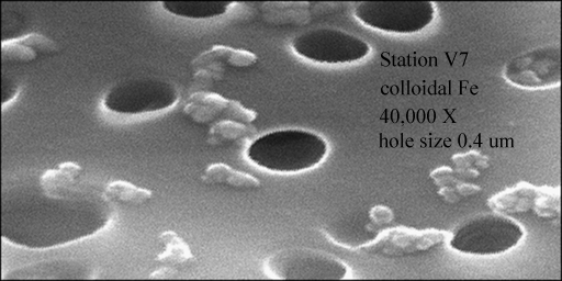 electron microscrope image