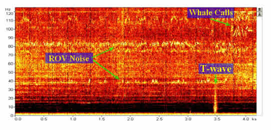 spectrogram of QUEphone