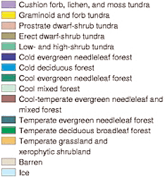 Arctic tundra essay