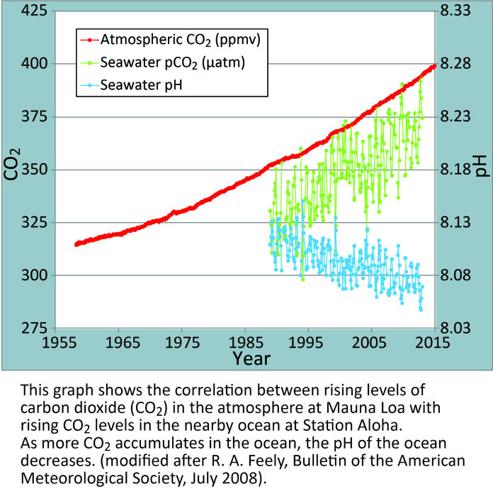 Hawaii Carbon Dioxide Time-Series