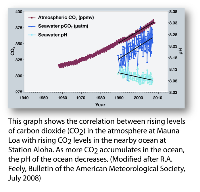 Hawaii Carbon Dioxide Time-Series