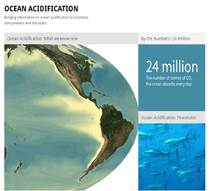 Screenshot of the new ocean-acidification.net