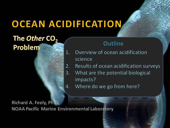 Ocean Acidification 101 placeholder