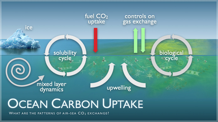Carbon dioxide intake of oceans essay