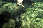 ash_rock_molten_lava