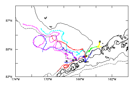 drifter trajectories