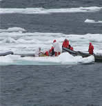 Image of a seal catch and tagging.