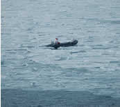 Image of seal zodiac on the ice.