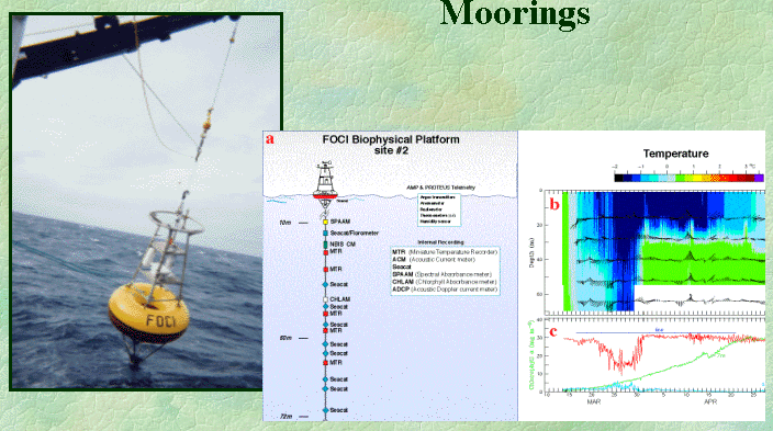 FOCI biophysical mooring