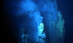 Hydrothermal vent: Pipe Organ, S. Cleft Juan de Fuca