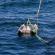 Sea Sweep sampling during WACS2
