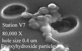 electron microscrope image