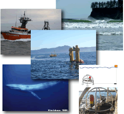 images of sources of ambient ocean sound