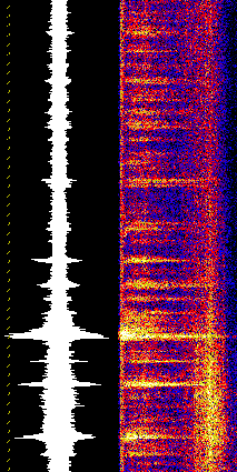 Gorda spectrogram