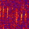 humpback call spectrogram