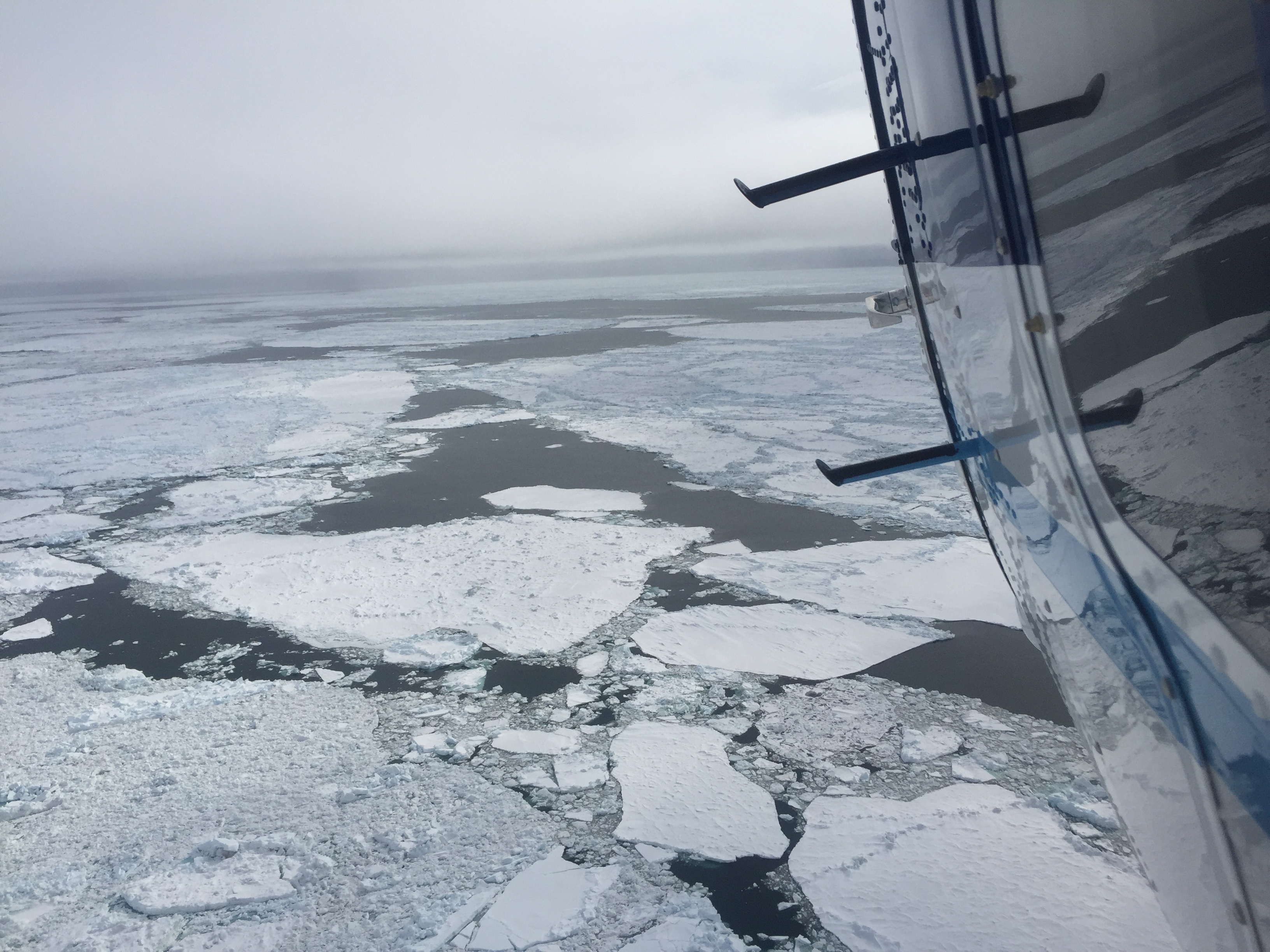 NOAA Twin Otter N56 on a research flight