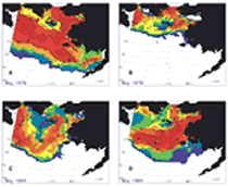 Four distinct meltback patterns in the Bering Sea