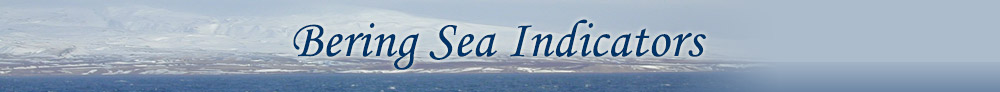 Bering Climate