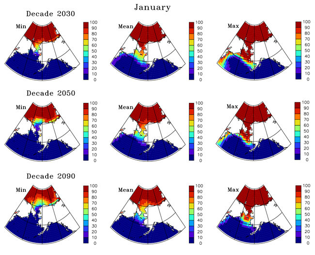 January sea ice