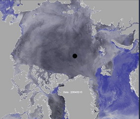 Sea Ice motion over Arctic Basin animation