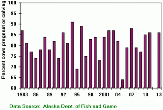 Porcupine Caribou herd birth rate