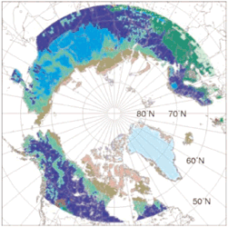 Present day natural vegetation