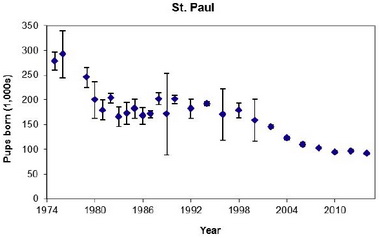 Chart of Northern fur seal Callorhinus ursinus pups born on St. Paul