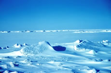 Sea ice in Winter in the Beaufort Sea