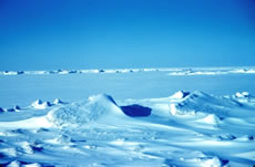 Sea ice in Winter in the Beaufort Sea