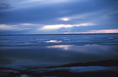 Melting sea ice in Spring in the Bering Sea