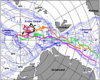 Drift tracks of the NPEO data buoys