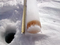 ice core showing algae band