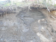 exposed permafrost 