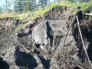 exposed permafrost