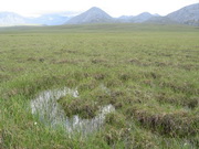 melted permafrost 