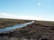 melted permafrost 