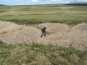 surface folds due to sub-surface permafrost melting