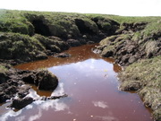 melted permafrost 