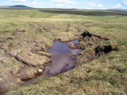 melted permafrost 