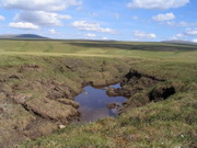 melted permafrost 