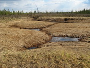 melted permafrost 