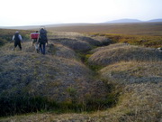 surface folds due to sub-surface permafrost melting
