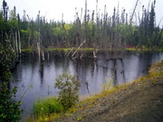 lake formed by drainage from melting permafrost 