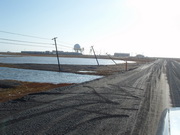 leaning telephone poles due to melting permafrost 