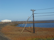 leaning telephone poles due to melting permafrost 