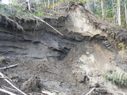 exposed permafrost 