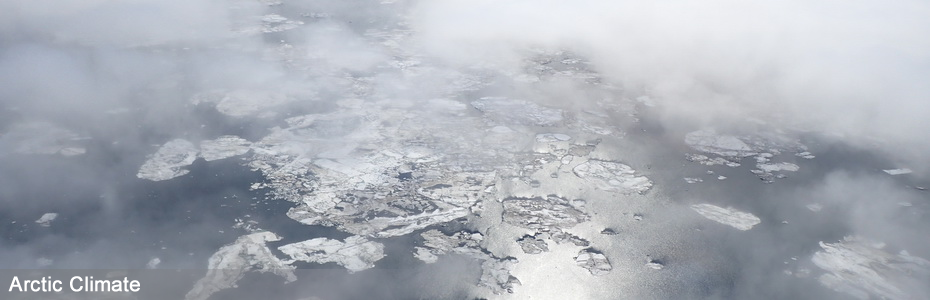 Melting sea ice in the Chukchi sea in June 2016 seen from the NOAA Twin Otter aircraft
