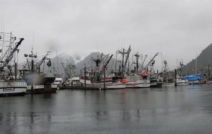 photo of fishing ships in Alaska 