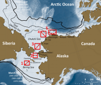 Distributed Biological Observatory (DBO) sites