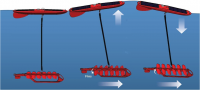 Schematic diagram of waveglider's surface float and sub-surface fins or wings which provide forward propulsion. 